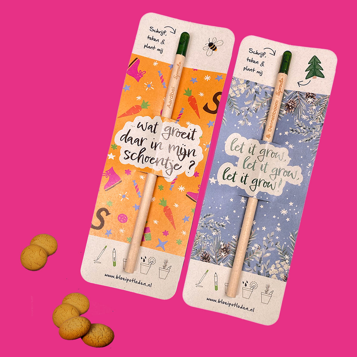 NIEUW: Bloeipotlood schoencadeau