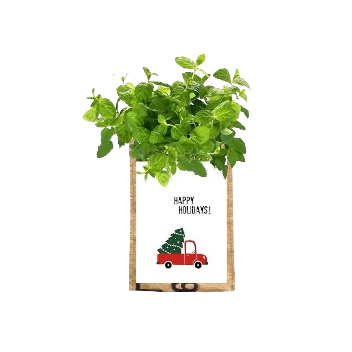 Gerecycled hangtuintje kruiden