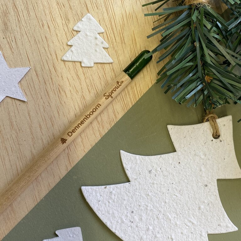 Bloeipotlood kerstboom