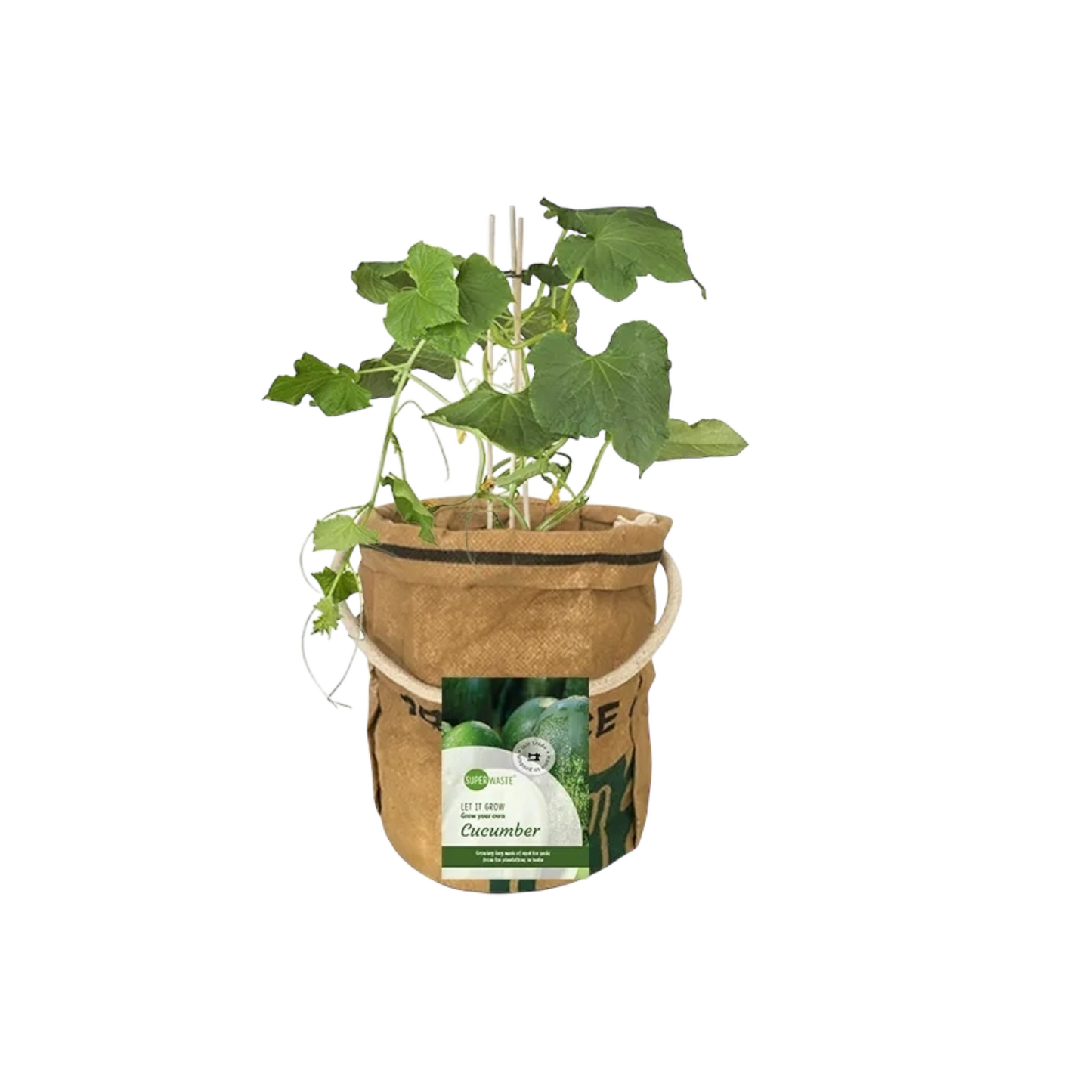 Kweektuin groente en fruit