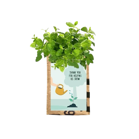 Hangtuintje kruiden