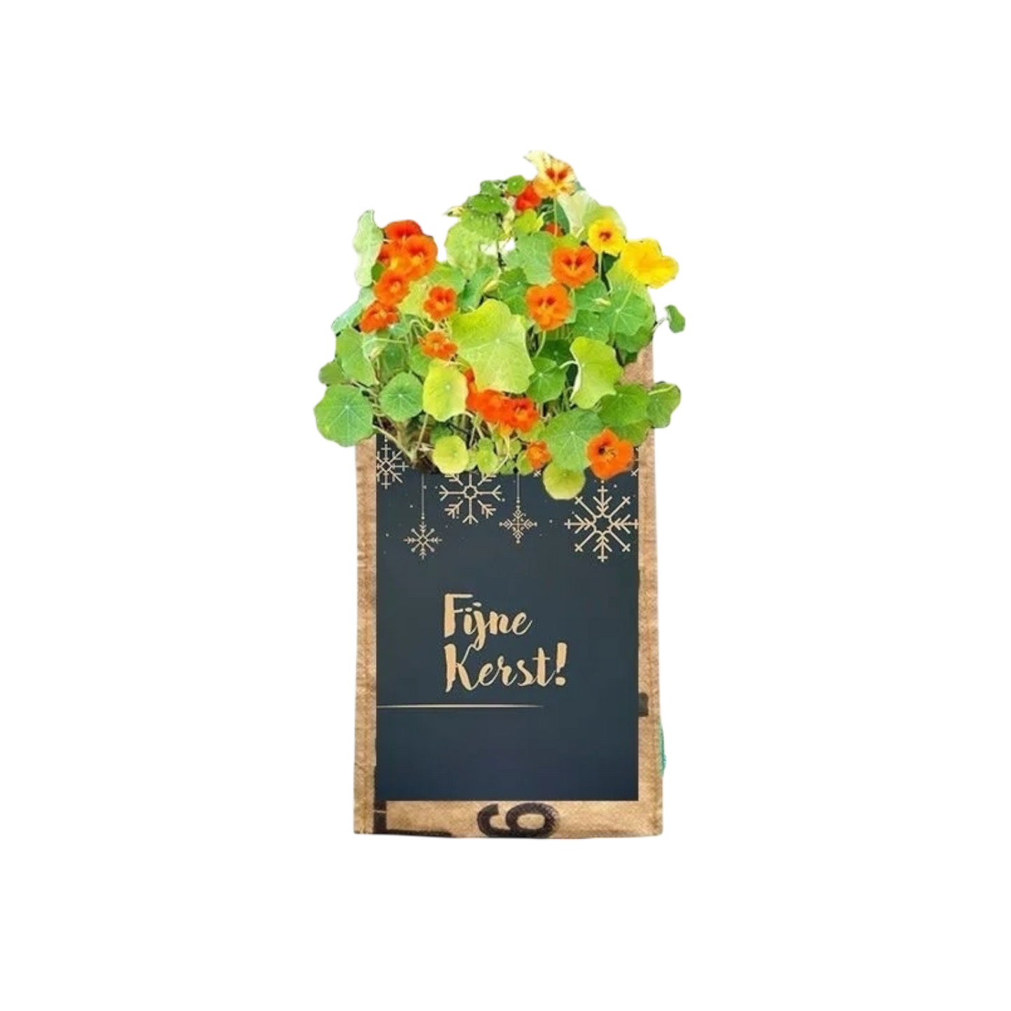 Gerecycled hangtuintje bloemen