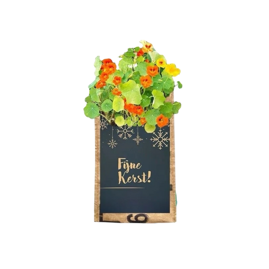 Gerecycled hangtuintje bloemen