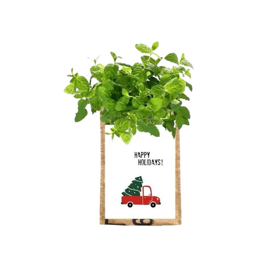 Gerecycled hangtuintje kruiden