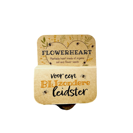 Bio plantbaar hart