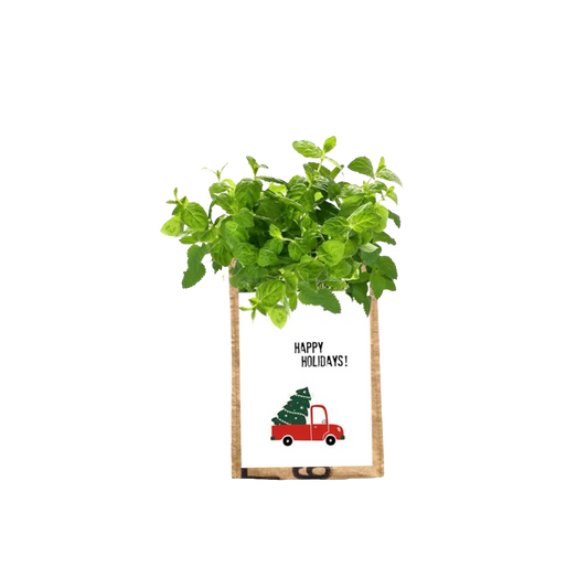 Hangtuintje